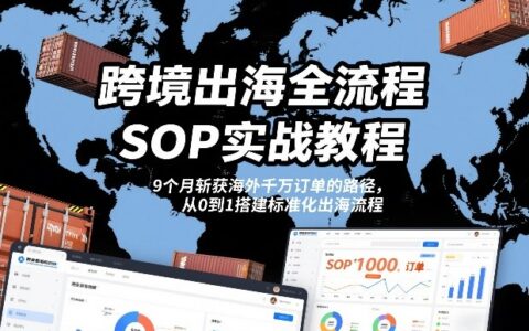 跨境出海SOP实战教程：9个月海外增长实测案例，从0到1标准化流程搭建指南
