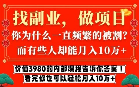 价值3980元的网创课程：互联网创业实战变现策略拆解