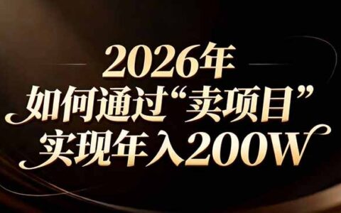站在2026年的十字路口：普通人实测项目策略实现年入可观