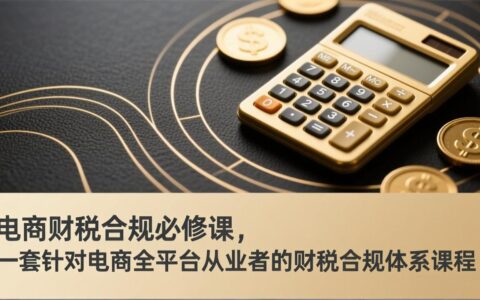 2025电商财税合规实战指南：从业者必备变现策略