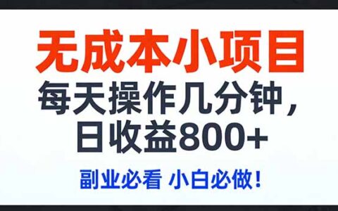 2025每日几分钟副业项目：低成本实操，收益变现实战指南