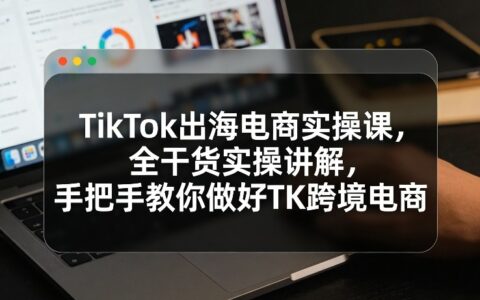 TikTok跨境电商实战指南：全干货实操策略与案例拆解