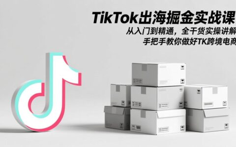 TikTok出海变现实战教程：从入门到精通，全干货实操讲解，手把手教你跨境电商策略