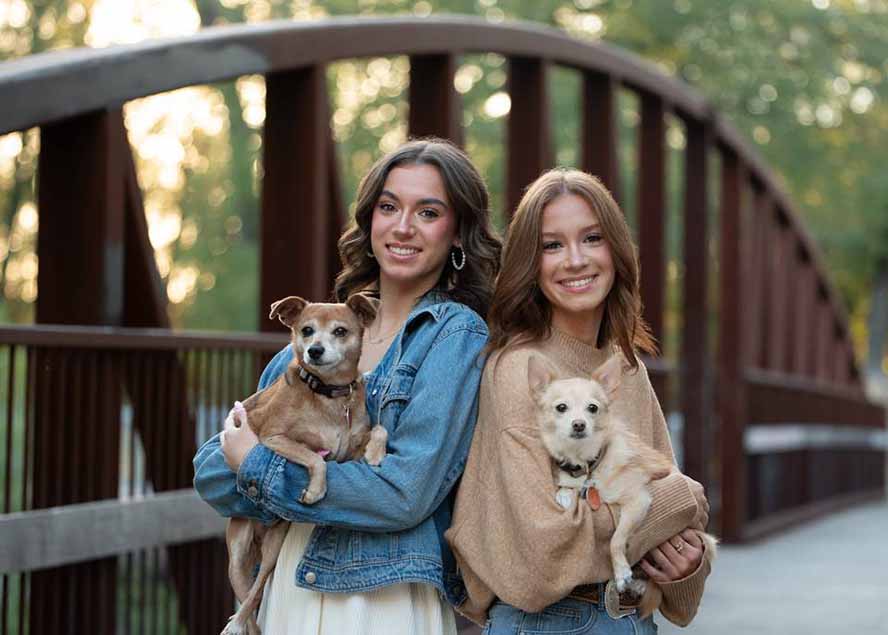 大师级GTG出品-老友记系列AI自适应被动收入实战指南