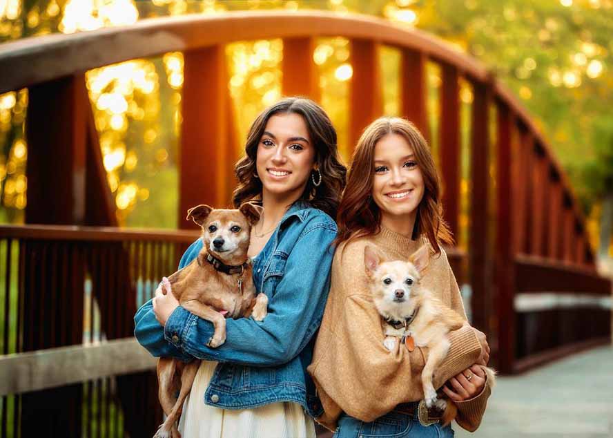 大师级GTG出品-老友记系列AI自适应被动收入实战指南