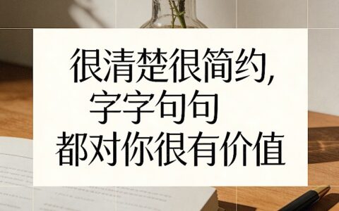 2025在线盈利实战指南：简约清晰，字字价值