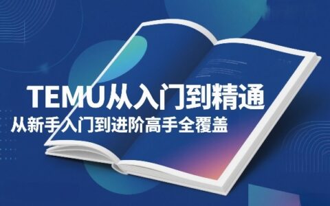 2025TEMU从入门到精通：新手到高手的完整变现策略