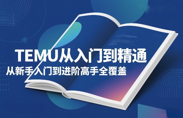 2025TEMU从入门到精通：新手到高手的完整变现策略