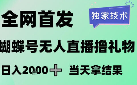 2026蝴蝶号无人直播变现实战：独家策略，新手实测案例，长期稳定项目