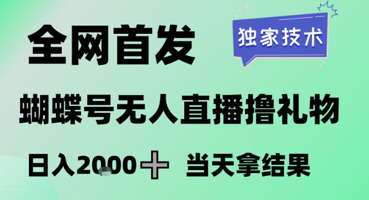 2026蝴蝶号无人直播变现实战：独家策略，新手实测案例，长期稳定项目