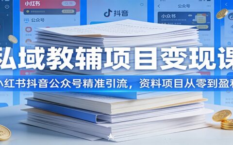 私域教辅变现实操指南：小红书抖音公众号引流策略，资料项目从零起步实战