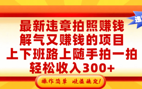 实测随手拍举报赚钱方法：上下班路上轻松增加额外收入，操作简单收益稳！
