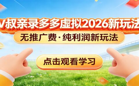 拼多多虚拟电商实操指南：低成本启动策略，专为新手设计