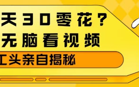2025视频项目赚零花：大佬实操指南