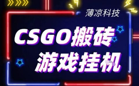 2025CSGO游戏赚钱实操策略：新手手机快速变现指南