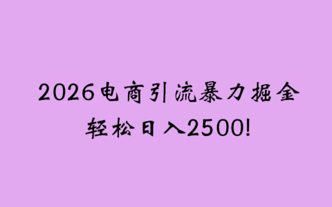 20252026电商引流新策略：实测高效引流与变现指南