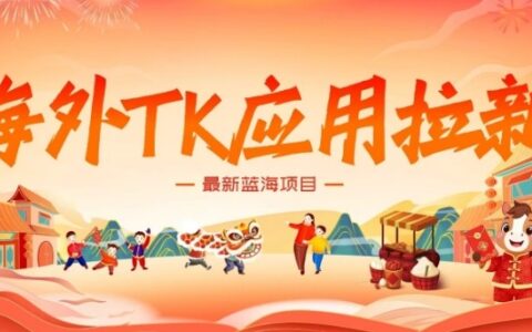 2025海外TK应用拉新项目：蓝海市场变现实操策略