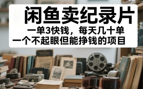 2025闲鱼卖纪录片实战项目：一个不起眼的盈利方法