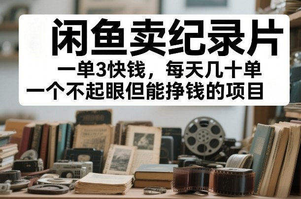 2025闲鱼卖纪录片实战项目：一个不起眼的盈利方法