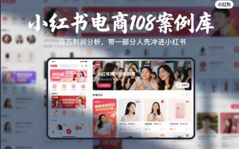 2025小红书电商108案例拆解：实战盈利策略与实操指南