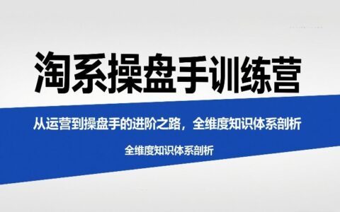 淘系操盘手进阶实战：从运营到操盘手的全维度策略与变现方法拆解