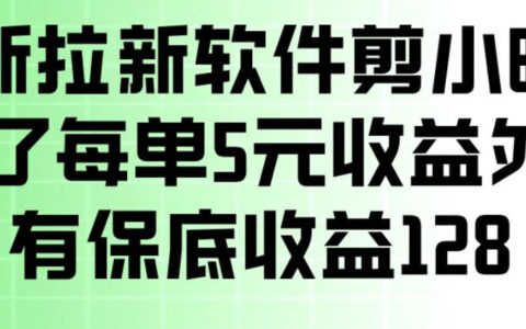 剪小映拉新项目实测：每单5元收益+保底策略，手机操作变现指南