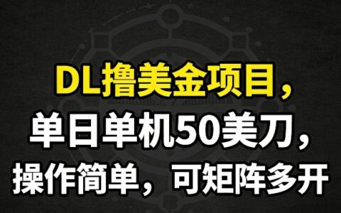 2025DL美元项目实战：日收益潜力与简易操作指南