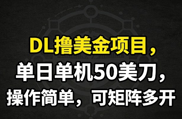 2025DL美元项目实战：日收益潜力与简易操作指南