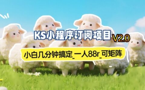 最新小程序订阅实操：新手快速变现方法，支持矩阵操作（实测案例）