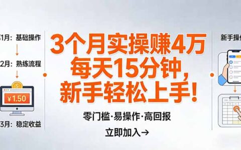 20253个月实测变现4万思路：日花15分钟新手入门指南