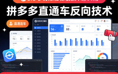 《拼多多直通车反向策略实战指南：第56期原创方法》