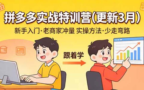 拼多多实战特训营(更新3月)：新手入门与老商家冲量的高效变现策略