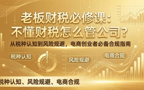 电商老板财税实战指南：不懂财税如何管公司？从税种认知到风险规避，合规管理实操策略
