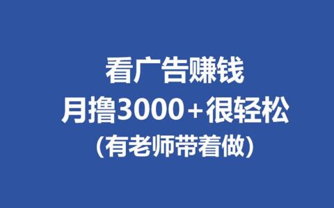 广告观看项目实操指南：单机收益思路，工作室批量放大，被动收入变现案例