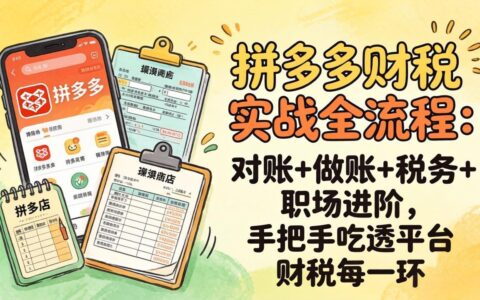 拼多多财税实操全流程：对账+做账+税务+职场进阶，实测指南掌握平台财税核心策略
