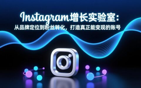 Instagram增长实验室：品牌定位到粉丝转化的变现实操策略