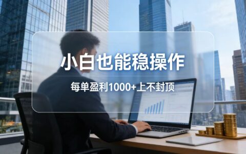20252026新项目实操指南：新手稳赚的被动收入策略