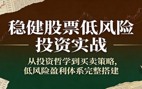 稳健股票低风险投资实战指南：从哲学到策略，搭建被动收益体系
