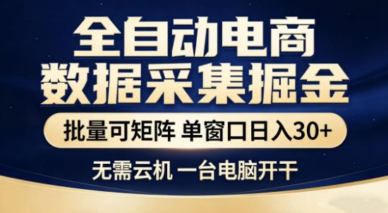 独家电商数据自动采集项目：批量矩阵实操与轻松变现策略