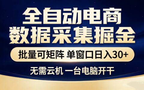 2025电商数据采集实操指南：批量矩阵策略被动收入案例