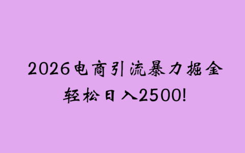 20252026电商引流新玩法：引流变现实战指南