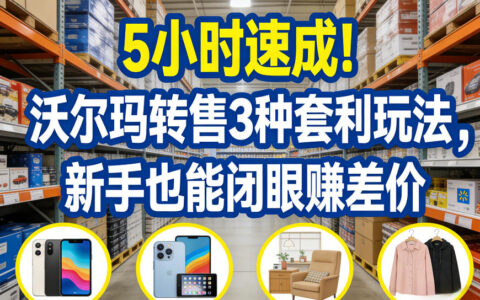 20255小时实操沃尔玛转售3种套利方法，新手也能赚差价
