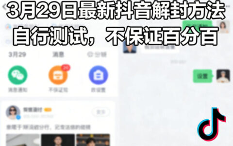 20253月29日抖音变现实操攻略：实测盈利思路分享