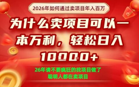 2025实操卖项目策略：实现年入百万的高收益实战指南