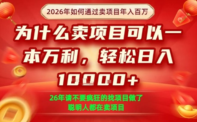 2025实操卖项目策略：实现年入百万的高收益实战指南
