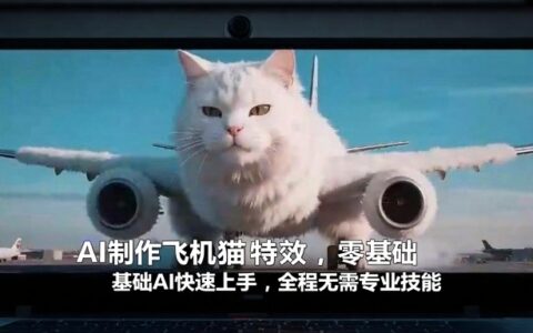 AI飞机猫特效制作教程：零基础快速上手，实战变现指南