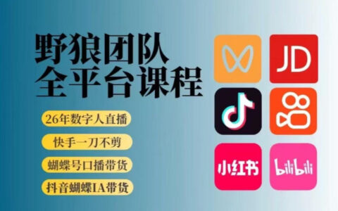 野狼团队2026新版全平台短视频带货实战教程：AI带货流量增长策略（更新26年3月）
