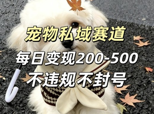 私域宠物项目实战指南：每日变现思路，安全操作不违规