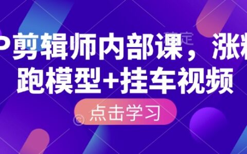 IP剪辑师实战课程：涨粉模型与变现策略（最新更新）
