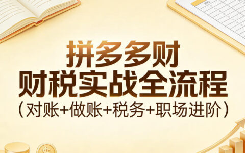 2025拼多多财税实操全攻略：对账做账税务进阶指南